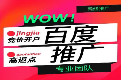 sem竞价代运营的转化率提升技巧及实际案例